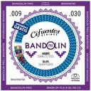 Juego-Bandolin-Ecuatoriano-09-30-Silver Plated-15 Cuerdas